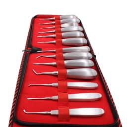 13pcs Dental Elevator Set Made in Pakistan Teeth Extraction Tooth Extracting Forceps Stainless Steel Curved Root Lift Elevator