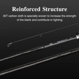 TSURINOYA DRAGON Fishing Rod 1.98m 2.08m L ML M Fast Action Spinning Casting Rod For Bass Pike FUJI Guide Carbon 2 Section Rod
