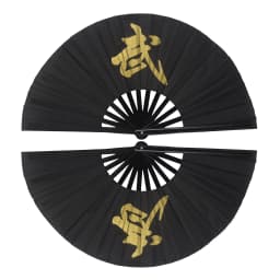 Tai Chi Fan Bamboo Kung Fu Martial Arts 34 Centimeter Fans Wushu Art Martiaux Cosplay Dance Performance Fan Red Kun Master