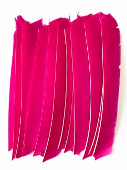 100PCS 18-25CM Full Length Turkey Arrow Feathers DIY Hunting Bow Arrow Accessories Archery Fletching Right Wing Vanes