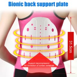 Lower Back Brace Lumbar Support Belt with Pulley System for Lower Back Pain Relief, Herniated Disc,Sciatica,Scoliosis Back Brace