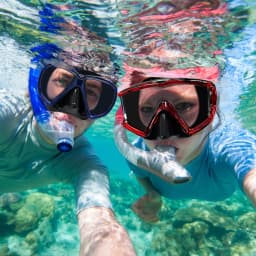 Adult Panoramic Diving Mask, High-Definition Glass LensDiving Mask , Silicone Leak-Proof Snorkel Mask