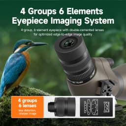 Svbony SV29 Telescope 25-75x80mm FMC Removable 1.25" Eyepiece Dovetail Slot Spotting Scope for Birdwatching Moon-viewing Camping