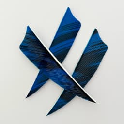 50pcs 3/4/5inch Archery Arrow Feather Fletching Ink Painting High Quality Real Archery Fletches Bow And Arrow Accessories