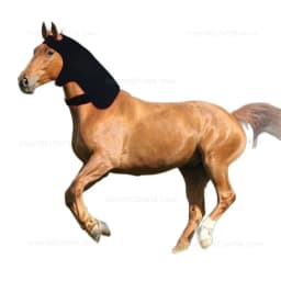 Additional 296 LED red light infrared therapy for relaxing and restoring the neck of horses