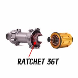 Black Grey ROAD 2024 Latest Ultra Light Road HUB, Star Ratchet 36T Bicycle Lock Brake Direct Pull HUB 24 Holes, 100-142XDR/HG