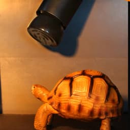 25W 50W 75W 100W 220V Ceramic Far Infrared Pet Heating Lamp E27 Lamp Holder For Reptile Pet Winter Heating Supplies Drop Ship