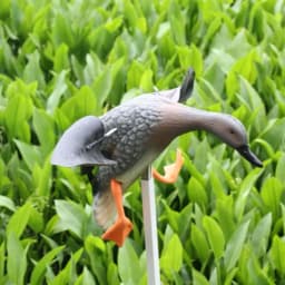 Outdoor Hunting Decoy Duck Wireless Remote Control Electric Simulation Decoy Wind Rotating Garden Pastoral Decoration