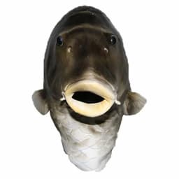 Realistic Fish Mask Latex Animal Head Mask Gray Fish Costume Headwear Masquerade Party Adult