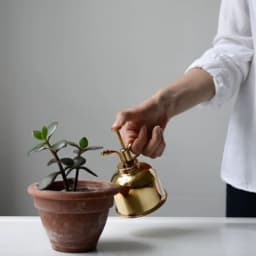 Brass Watering Can Spray Bottle Vintage Water Cans Succulent Plants Golden Gardening Spraying Bottle Watering Pot Garden Tool