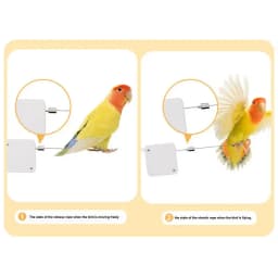 Parrot Leashes 2M Conures Bird Leashes For Parakeet Traction Rope Adjustable Outdoor Cockatiel Leashes For Birds Outdoor