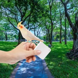 Parrot Leashes 2M Conures Bird Leashes For Parakeet Traction Rope Adjustable Outdoor Cockatiel Leashes For Birds Outdoor