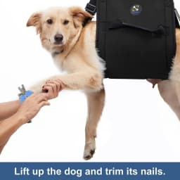 Dog Sling Carrier For Large Dogs Support Recovery Sling Breathable Stair Helper Adjustable Heavy Duty Walking Aid For Disabled