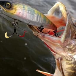 Soft Bait Kit 100pcs Soft Fishing Lures PVC Fishing Worm Fishing Lures Baits For Freshwater Saltwater Trout Crappie Fishing Gear