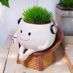 Small Planter For Succulents Resin Succulents Pots With Sitting Design Resin Flower Holder Containers Bonsai Tabletop