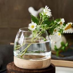 Clear Glass Vases Fish Tank With Wooden Base Hydroponic Plant Vase Ecological Fish Tank Flower Vase Centerpiece Decorative