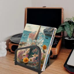 Record Rack Lp Albums Storage Rack Stylish Desktop File Sorter Book Album Display Rack Lp Albums Storage Black Record Holder