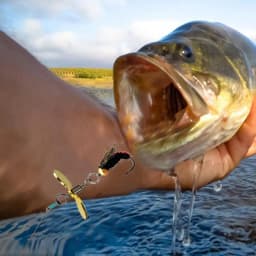 Fly Fishing Lures Kit Freshwater Spinner Swim Baits 6pcs Swim Baits Lures Bass Fishing Supplies Top Fishing Stuff Effective