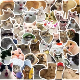 Wonderful Cute Cat Sticker Set - Perfect for Jazzing up Water Bottles, Laptops, Guitars, and Skateboards - 50pcs - A Fantastic I