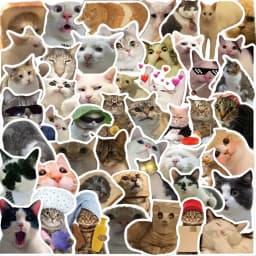 Wonderful Cute Cat Sticker Set - Perfect for Jazzing up Water Bottles, Laptops, Guitars, and Skateboards - 50pcs - A Fantastic I
