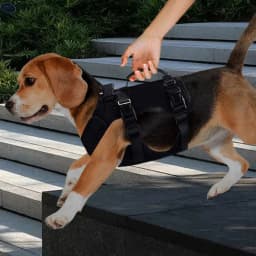Dog Support Sling Dog Vest Harnesses Support Stair Helper Heavy Duty Adjustable Large Dog Sling Walking Aid For Disabled Old