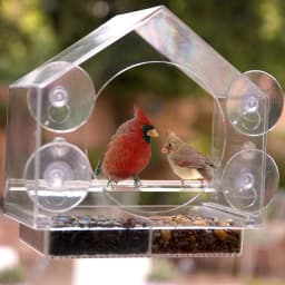 Weatherproof Window Bird House Acrylic Window Bird Feeder For Outside Clear Bird Feeders For Viewing Blue Jays Finches