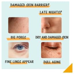 Korean Skincare Day C Night A Serum Set,AM Protection&Brightening,Combating Photoaging&Reducing Dullness,PM AntiAging&Firming,Fades Fine Lines&Minimizes Pores,Barrier Reconstruction&Plumping,Synergistic Brightening Duo,Effortless Skincare Regimen,Vegan