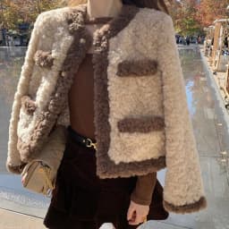 Vintage Women's Faux Lamb Fur Cropped Coat Autumn Winter Warm Thick Outerwear Woman Elegant Gold Single Breasted Plush Jacket