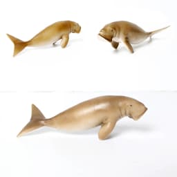 Realistic Dugong Manatee Walrus Sea Lion Fur Seal Ocean Sea Life Animals Model Action Figures Durable Education And Fun Play Toy