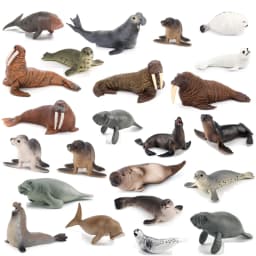 Realistic Dugong Manatee Walrus Sea Lion Fur Seal Ocean Sea Life Animals Model Action Figures Durable Education And Fun Play Toy