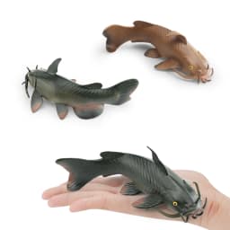  Realistic Catfish Perch Tilapia Angelfish Crucian Carp Freshwater Fish Model Action Figure Decoration Educational Toys For Kid