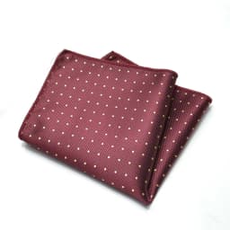 25cm Mens Classic Pocket Square Towel Polyester Paisley Striped Handkerchief Suit Shirt Accessories Wedding Party Navy Red Hanky