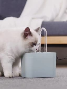 Cat Water Fountain Auto Filter USB Electric Mute Cat Drinker Bowl 1.5L Recirculate Filtring Drinker for Cats Pet Water Dispenser