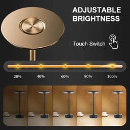 Rechargeable Table Lamp Creative Dining Touch Led Hotel Bar Coffee Pina Pro Table Lamp Lampada Da Tavolo Decorative Desk Lamp