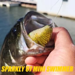 PEAK 75mm Soft Lure Swimbait Fishing Lure Shad Silicone Baits T-tail Wobblers Swimbait Artificial Leurre Souple