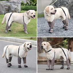 Anti-Dirty Dog Shoes Warm Back Strap Anti-Detachment Non-Slip Outdoor Activities Waterproof Rain Snow Pet Boots Pet Supplies
