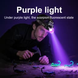 395nm UV Headlamp Ultraviolet Zoomable Headlight Rechargeable Purple Head Torch Catch Scorption Hunting Light Pet Urine Detector