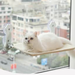 New Suction Cup Cat Hammock Foldable Hammock Suspended Nest Cat Bed Balcony Window Glass Pet Furniture and Beds Cat Supplies