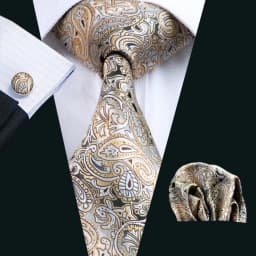 Designer Tie for Mens Gold Silver Paisley Necktie Pocket Square Cufflinks Set Wedding Gift Elegant Corbatas 6235