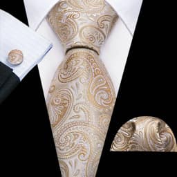 Designer Tie for Mens Gold Silver Paisley Necktie Pocket Square Cufflinks Set Wedding Gift Elegant Corbatas 6235