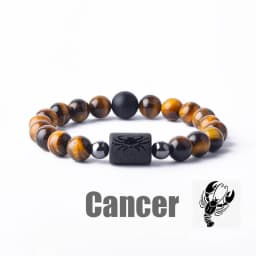 Zodiac Sign Bracelet Homme 12 Constellation Bangles Men Gemini Virgo Leo Libra Bracelet Women Friendship Gift Bracelet on Hand