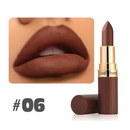6 Colors Matte Waterproof Velvet Nude Lipstick Sexy Red Brown Pigments Long Lasting Profissional Makeup Cosmetics