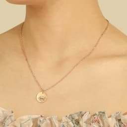Skyrim Birth Flower Pendant Necklace Women Stainless Steel Flora Gladiolus Poppy Peony Rose Daisy Necklace Personalized Jewelry