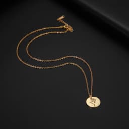 Skyrim Birth Flower Pendant Necklace Women Stainless Steel Flora Gladiolus Poppy Peony Rose Daisy Necklace Personalized Jewelry