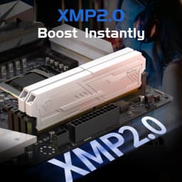 Netac DDR4 Memoria 3200MHz 3600MHz RAM DDR4 8GB 16GB 8GBX2 16GBx2 ECC Support XMP2.0 Desktop X99 Motherboard Lifetime Warranty