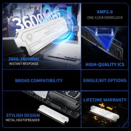 Netac DDR4 Memoria 3200MHz 3600MHz RAM DDR4 8GB 16GB 8GBX2 16GBx2 ECC Support XMP2.0 Desktop X99 Motherboard Lifetime Warranty