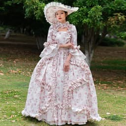 Rococo Baroque Marie Antoinette Ball Gown 18th Century Renaissance Historical Period Victorian Dress for Women