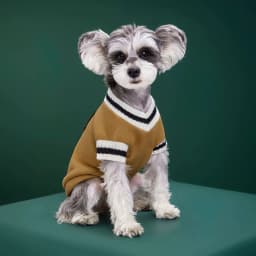 Pet Cat Solid Costume Autumn Winter Christmas Sweater For Small Dogs Kitten Pullover Puppy Vest Clothes Kitty Jacket Outfits