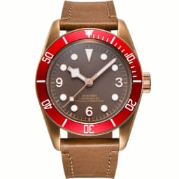 Custom Logo NH35A Miyota Sport 20ATM Watch PVD Coffee Bronze Case Sapphire Glass Luminous Deployant Clasp Deepwaterproof