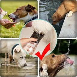 Pet Dog Water Bottle 350/550ml Portable Drinking Bowls For Small Big Dogs Water Dispenser Travel Leakproof Puppy Feeder Supplies